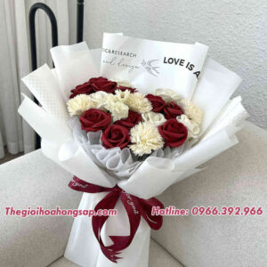 Thegioihoahongsap.com