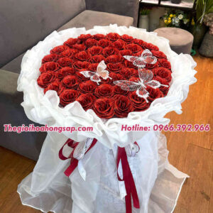 Thegioihoahongsap.com